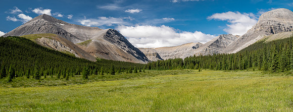 Hiking up the Scalp Creek trail / cutline.