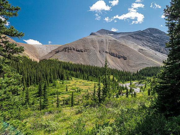 Exiting the NE trending valley along Scalp Creek between HH89 and Elch Peak.