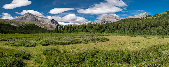 Hiking up the Scalp Creek trail / cutline.