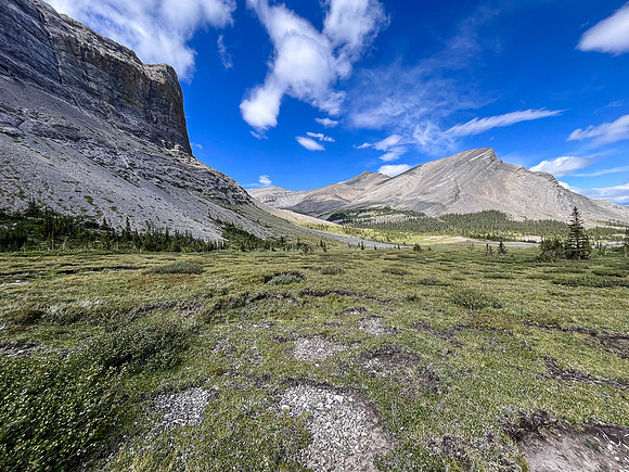Exiting the NE trending valley along Scalp Creek between HH89 and Elch Peak.