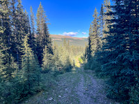 Biking the Scalp Creek Trail from Bighorn Falls.