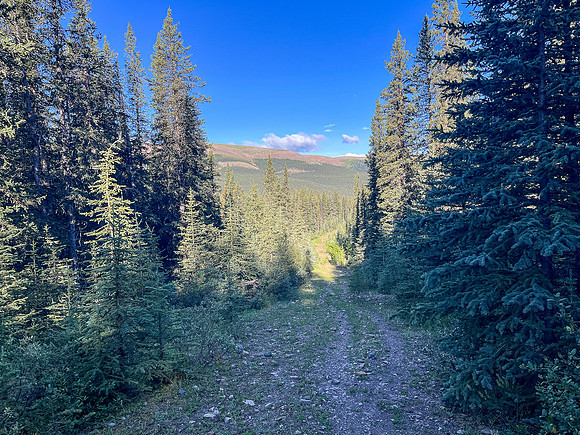 Biking the Scalp Creek Trail from Bighorn Falls.