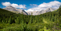Hiking up the Scalp Creek trail / cutline.