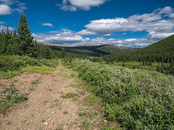 Exiting the NE trending valley along the Scalp Creek Trail towards CC9.