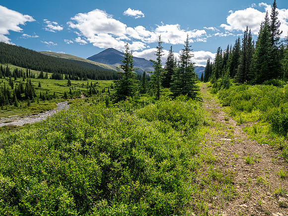 Exiting the NE trending valley along the Scalp Creek Trail towards CC9.