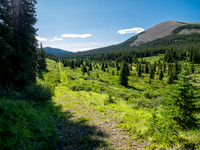 Hiking between the CC8 and CC9 junctions along the Scalp Creek Trail.