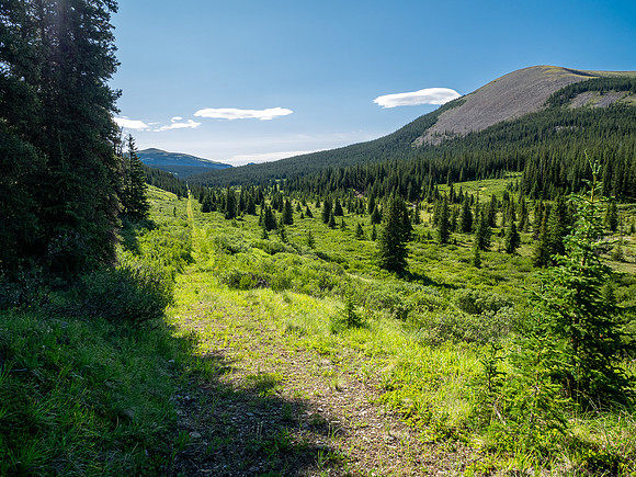 Hiking between the CC8 and CC9 junctions along the Scalp Creek Trail.