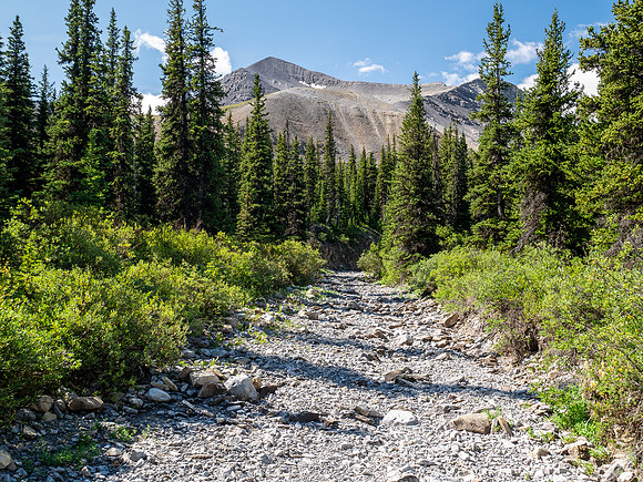 Hiking towards an outlier of Elch Peak.