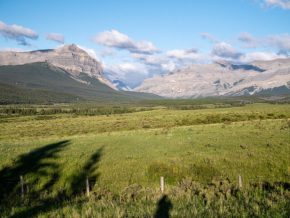 Views to Warden Rock across the Ya Ha Tinda ranch.