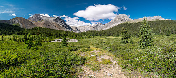 Hiking up the Scalp Creek trail / cutline.