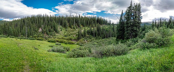 Biking back to Ya Ha Tinda along the Scalp Creek Trail.