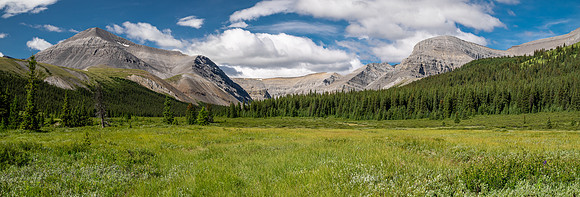 Hiking up the Scalp Creek trail / cutline.