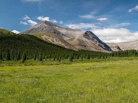 Hiking up the Scalp Creek trail / cutline.