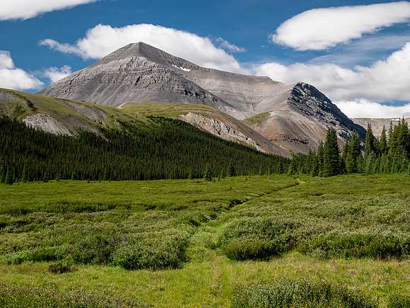 Hiking up the Scalp Creek trail / cutline.