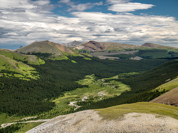Hiking up an outlier of Elch Peak. Views down Scalp Creek.