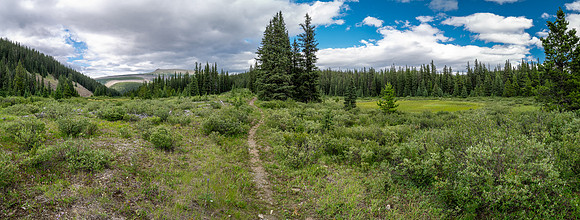 Exiting the Scalp Creek Trail between CC9 back to CC8.