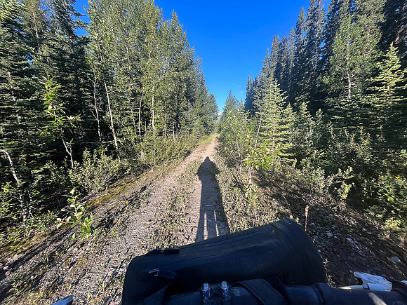 Biking the Scalp Creek Trail from Bighorn Falls.