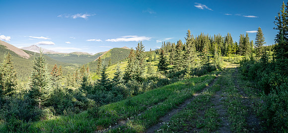 Biking the Scalp Creek Trail from Bighorn Falls.