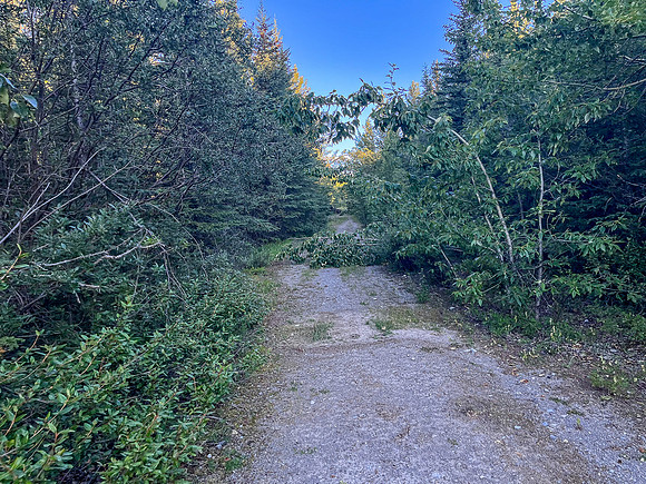 Biking the Scalp Creek Trail from Bighorn Falls.
