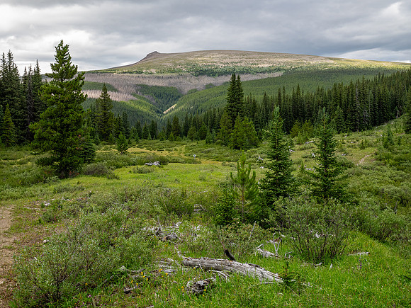 Exiting the Scalp Creek Trail between CC9 back to CC8.