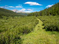 Hiking between the CC8 and CC9 junctions along the Scalp Creek Trail.