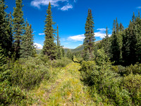Hiking between the CC8 and CC9 junctions along the Scalp Creek Trail.