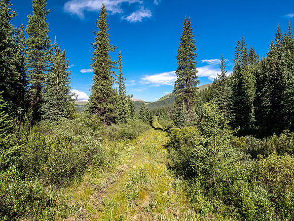 Hiking between the CC8 and CC9 junctions along the Scalp Creek Trail.