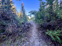 Biking the Scalp Creek Trail from Bighorn Falls.