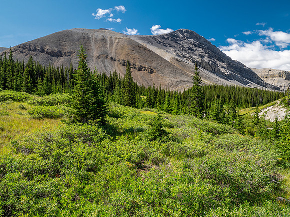 Hiking towards an outlier of Elch Peak.
