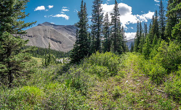 Exiting the NE trending valley along Scalp Creek between HH89 and Elch Peak.