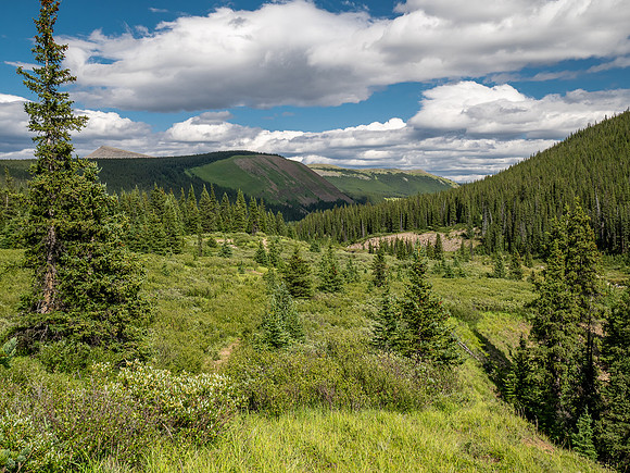 Exiting the NE trending valley along the Scalp Creek Trail towards CC9.