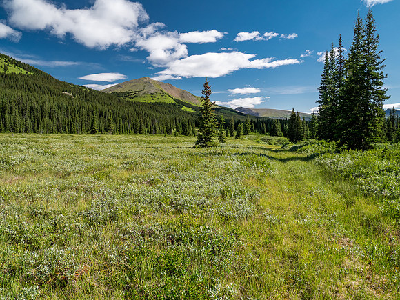 Hiking up the Scalp Creek trail / cutline.