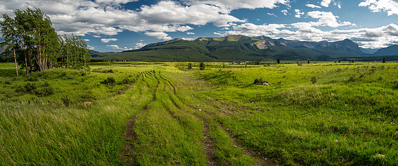 Biking back to Ya Ha Tinda along the Scalp Creek Trail.