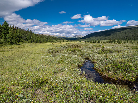 Exiting the NE trending valley along the Scalp Creek Trail towards CC9.