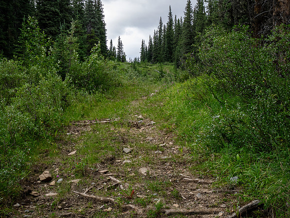 Exiting the Scalp Creek Trail between CC9 back to CC8.