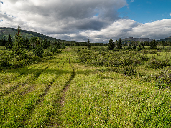 Biking back to Ya Ha Tinda along the Scalp Creek Trail.