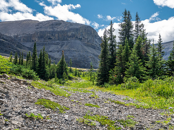 Exiting the NE trending valley along Scalp Creek between HH89 and Elch Peak.