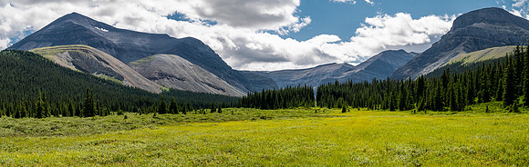 Exiting the NE trending valley along the Scalp Creek Trail towards CC9.