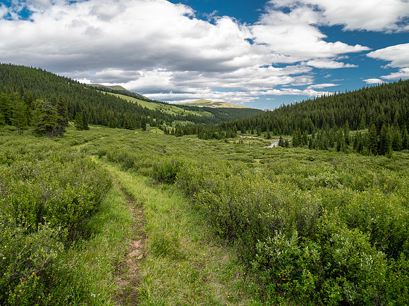 Exiting the Scalp Creek Trail between CC9 back to CC8.