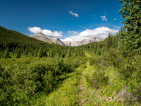 Hiking up the Scalp Creek trail / cutline.