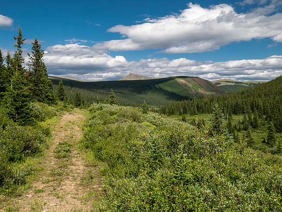Exiting the NE trending valley along the Scalp Creek Trail towards CC9.
