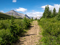 Hiking up the Scalp Creek trail / cutline.