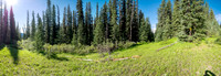 At the CC9 junction, looking up the Scalp Creek Trail.