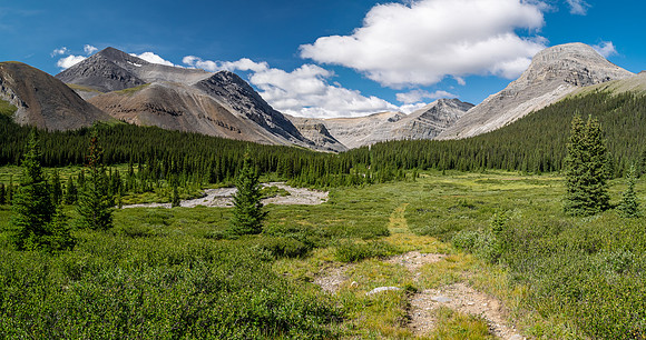 Hiking up the Scalp Creek trail / cutline.