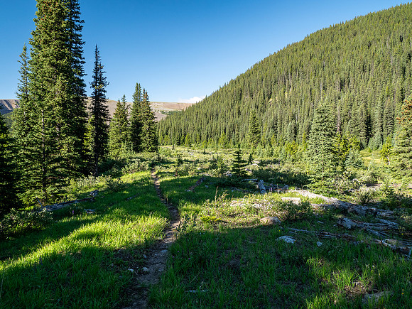 Hiking between the CC8 and CC9 junctions along the Scalp Creek Trail.