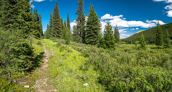 Exiting the NE trending valley along the Scalp Creek Trail towards CC9.