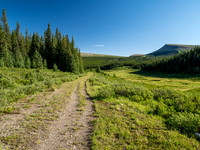 Biking the Scalp Creek Trail from Bighorn Falls.