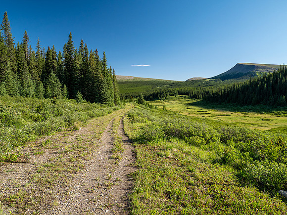 Biking the Scalp Creek Trail from Bighorn Falls.