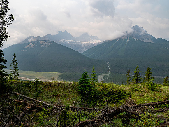 Descending SW forest back down to the Icefields Parkway.