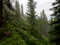 Ascending lower SW slopes from hwy 93.
